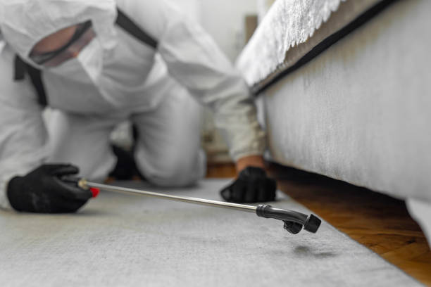 Professional Cockroach Control technician working in Glenvar Heights, FL