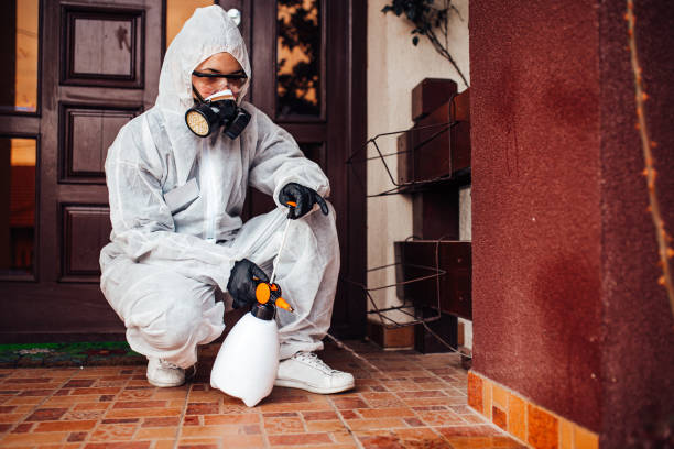 Reliable Cockroach Control contractor in Glenvar Heights, FL by Nex Pest Control